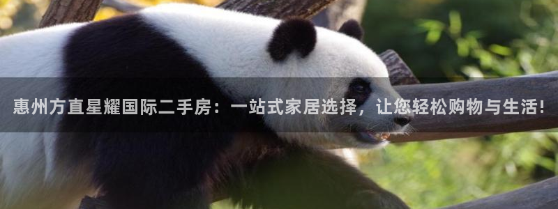 2元彩票4官网：惠州方直星耀国际二手房：一站式家居选择，让您轻松购物与生活!