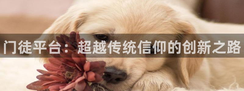 2元彩票平台官网：门徒平台：超越传统信仰的创新之路