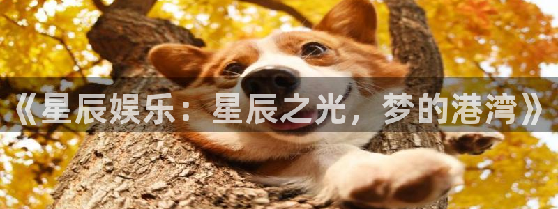 2元彩票体育3：《星辰娱乐：星辰之光，梦的港湾》