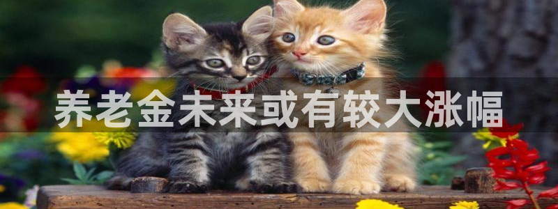 2元彩票平台开户链接：养老金未来或有较大涨幅
