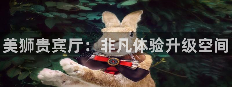 2元彩票3平台登录注册：美狮贵宾厅：非凡体验升级空间
