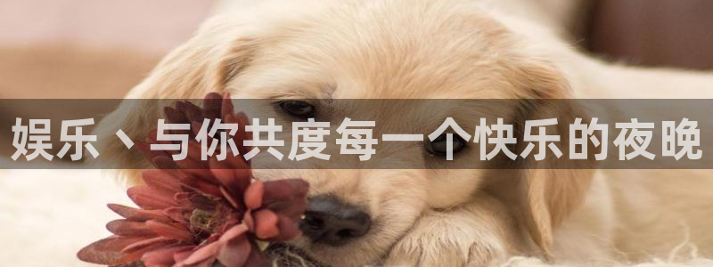2元彩票f平台注册：娱乐丶与你共度每一个快乐的夜晚