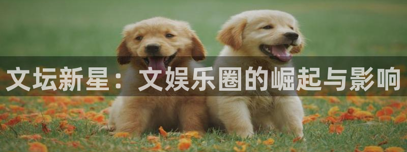 2元彩票集团：文坛新星：文娱乐圈的崛起与影响