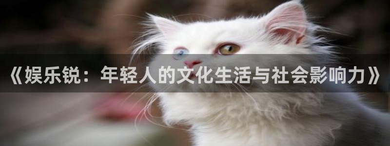 2元彩票3平台注册：《娱乐锐：年轻人的文化生活与社会影响力》