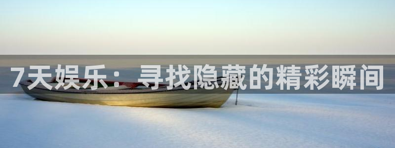 上海2元彩票汽车电子有限公司：7天娱乐：寻找隐藏的精彩瞬间