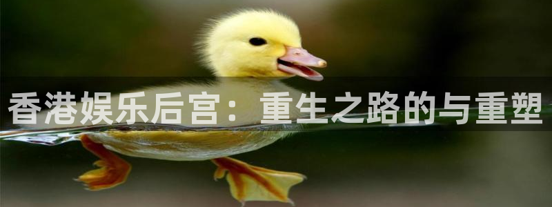 2元彩票4官网：香港娱乐后宫：重生之路的与重塑