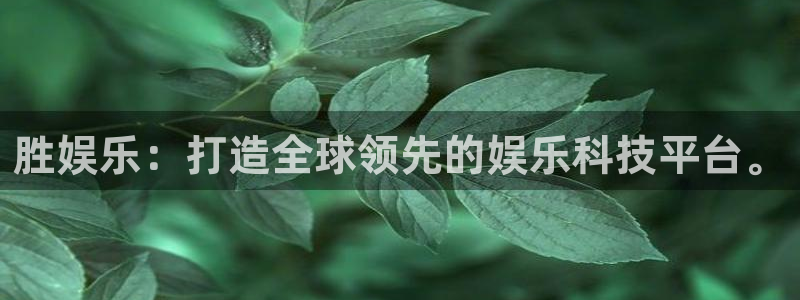 2元彩票体育网页版入口：胜娱乐：打造全球领先的娱乐科技平台。
