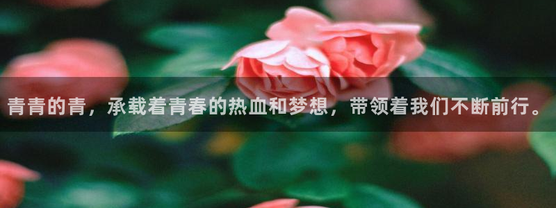 2元彩票体育用品：青青的青，承载着青春的热血和梦想，带领着我们不断前行。