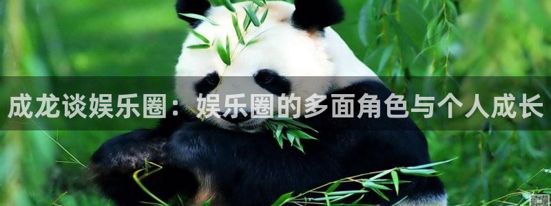 成都2元彩票电子有限公司：成龙谈娱乐圈：娱乐圈的多面角色与个人成长