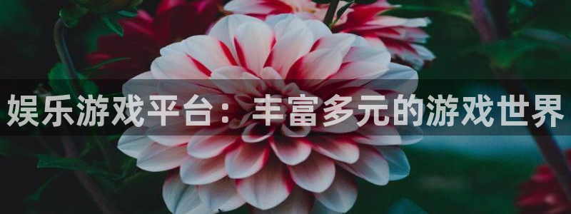 2元彩票体育合法嘛：娱乐游戏平台：丰富多元的游戏世界