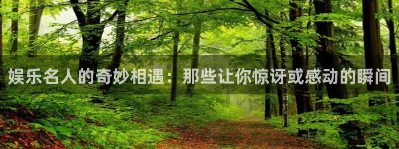 2元彩票官网注册：娱乐名人的奇妙相遇：那些让你惊讶或感动的瞬间