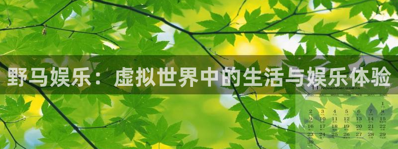 2元彩票3注册：野马娱乐：虚拟世界中的生活与娱乐体验