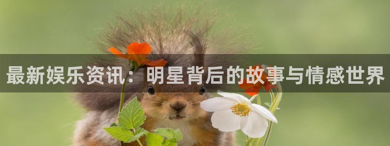 2元彩票体育热门赛事有哪些：最新娱乐资讯：明星背后的故事与情感世界