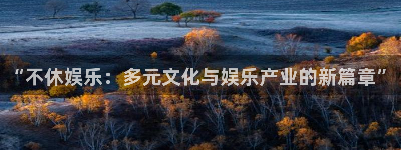 2元彩票登录：“不休娱乐：多元文化与娱乐产业的新篇章”