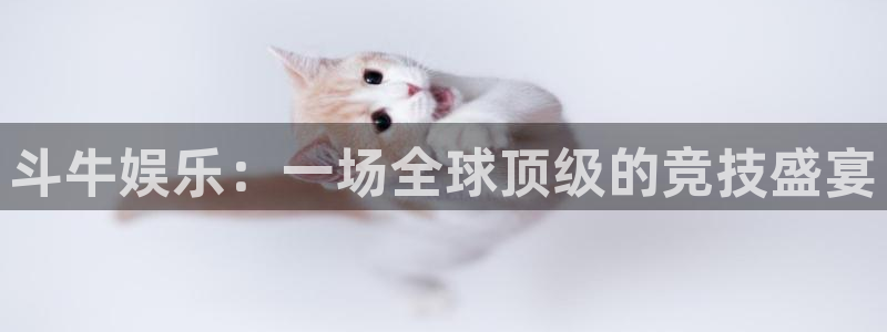 2元彩票招商：斗牛娱乐：一场全球顶级的竞技盛宴