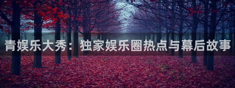 2元彩票主管：青娱乐大秀：独家娱乐圈热点与幕后故事
