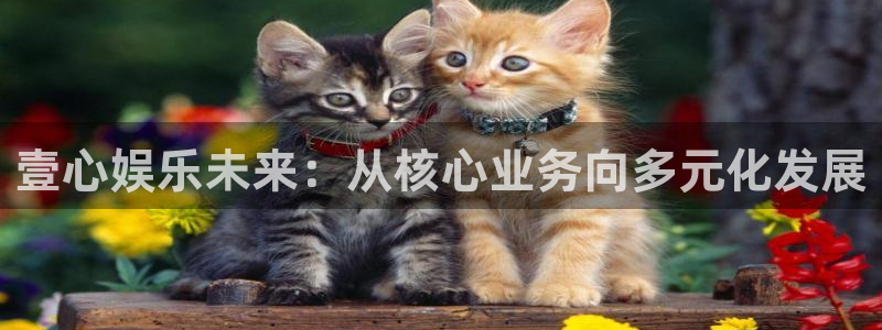 2元彩票2登录地址：壹心娱乐未来：从核心业务向多元化发展