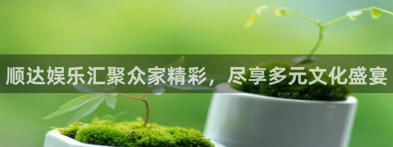 福建2元彩票机电股份公司：顺达娱乐汇聚众家精彩，尽享多元文化盛宴