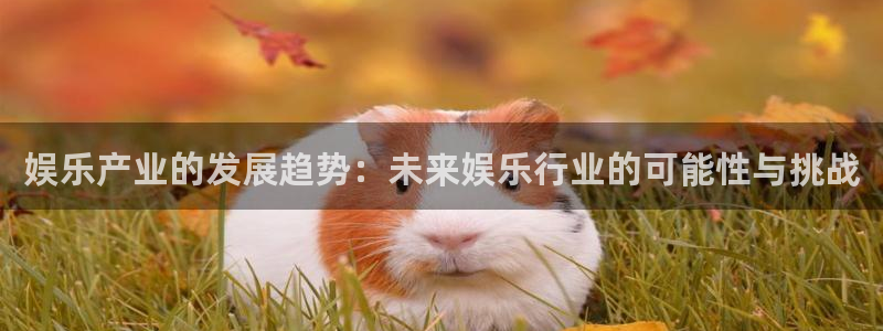 2元彩票体育热门赛事有哪些：娱乐产业的发展趋势：未来娱乐行业的可能性与挑战