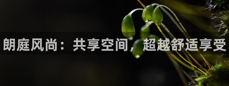 2元彩票集团官网：朗庭风尚：共享空间，超越舒适享受