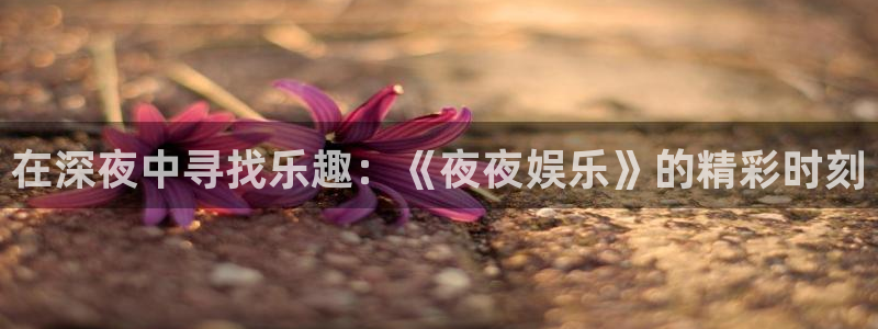 2元彩票3平台登录注册：在深夜中寻找乐趣：《夜夜娱乐》的精彩时刻