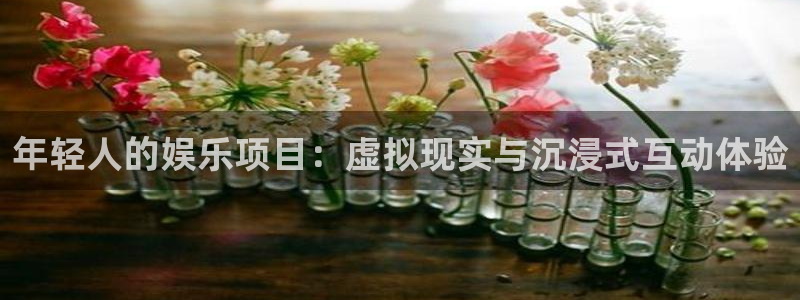 2元彩票平台在线开户：年轻人的娱乐项目：虚拟现实与沉浸式互动体验