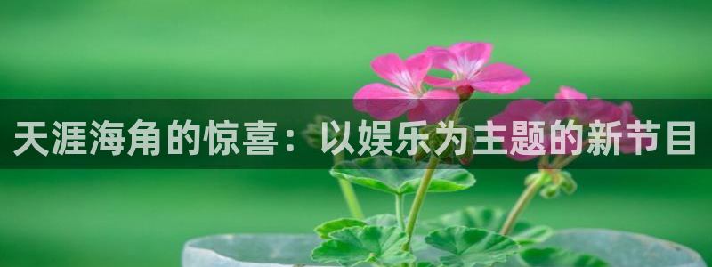 2元彩票体育平台总代理：天涯海角的惊喜：以娱乐为主题的新节目