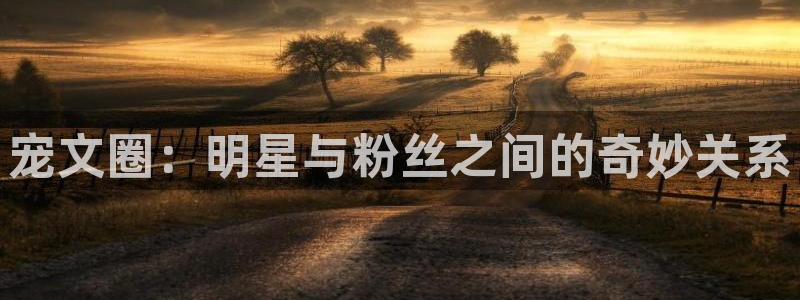 福建2元彩票机电股份公司：宠文圈：明星与粉丝之间的奇妙关系