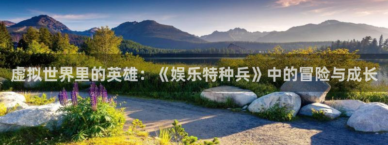 2元彩票3登录：虚拟世界里的英雄：《娱乐特种兵》中的冒险与成长