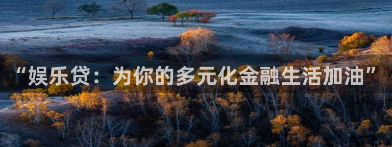 2元彩票体育游戏：“娱乐贷：为你的多元化金融生活加油”