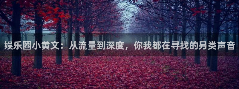 2元网河南二十二选五开奖号码：娱乐圈小黄文：从流量到深度，你我都在寻找的另类声音