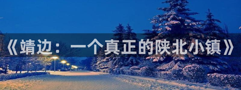2元网河南二十二：《靖边：一个真正的陕北小镇》