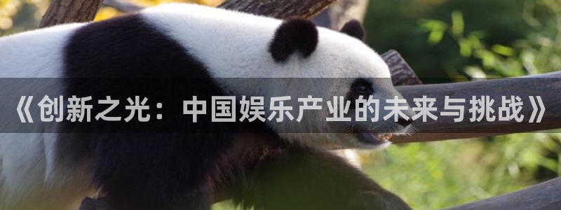 2元彩票官网：《创新之光：中国娱乐产业的未来与挑战》